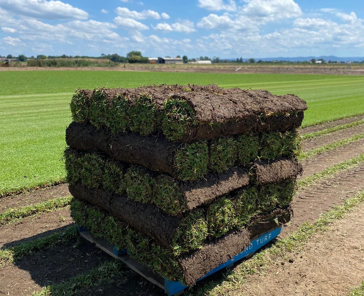 Turf Supplies Sydney