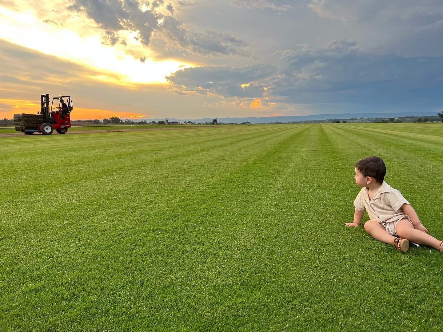 Bermuda Grass Turf Supplier In Sydney