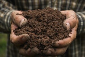 A Guide to Common Soil Types in Sydney