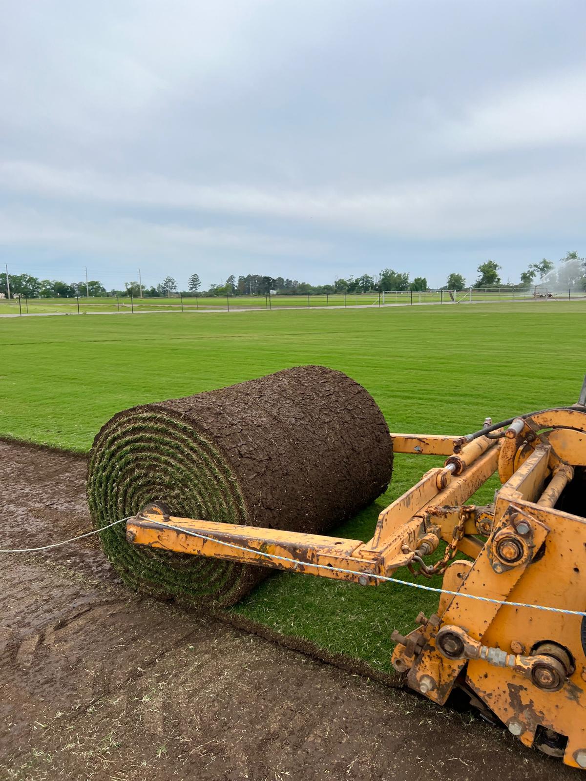 Lawn Laying