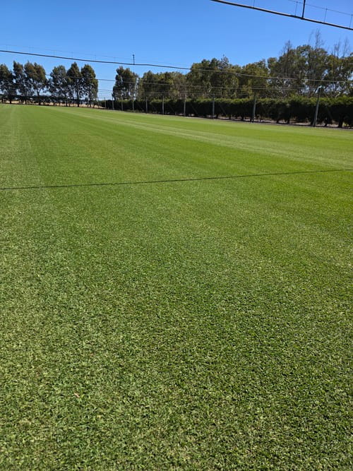 cobalt turf field photo