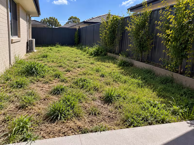 Garden with overgrown turf