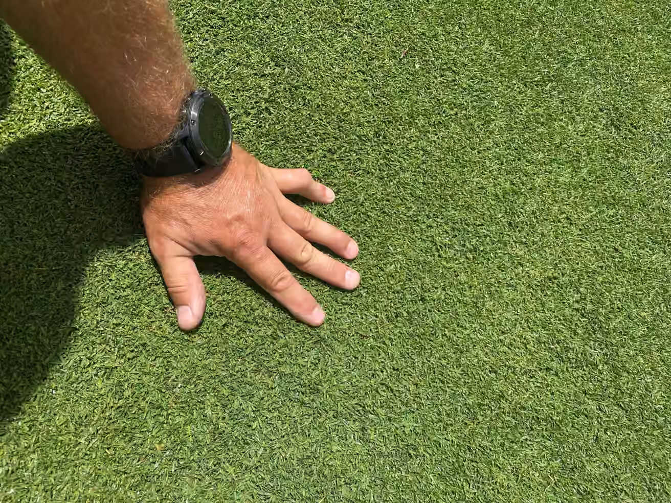 A hand checking the surface of natural turf