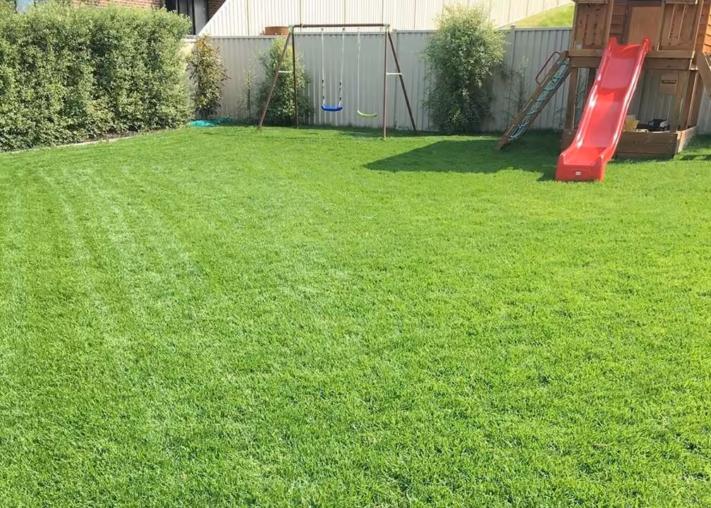 Finished backyard lawn beside a house, fence and children’s slide