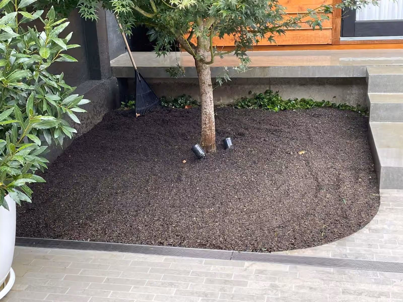 Prepared soil around a tree beside a building