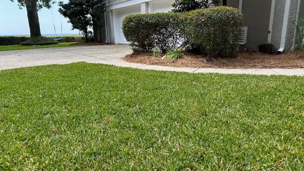 Completed natural front lawn beside a garden and path