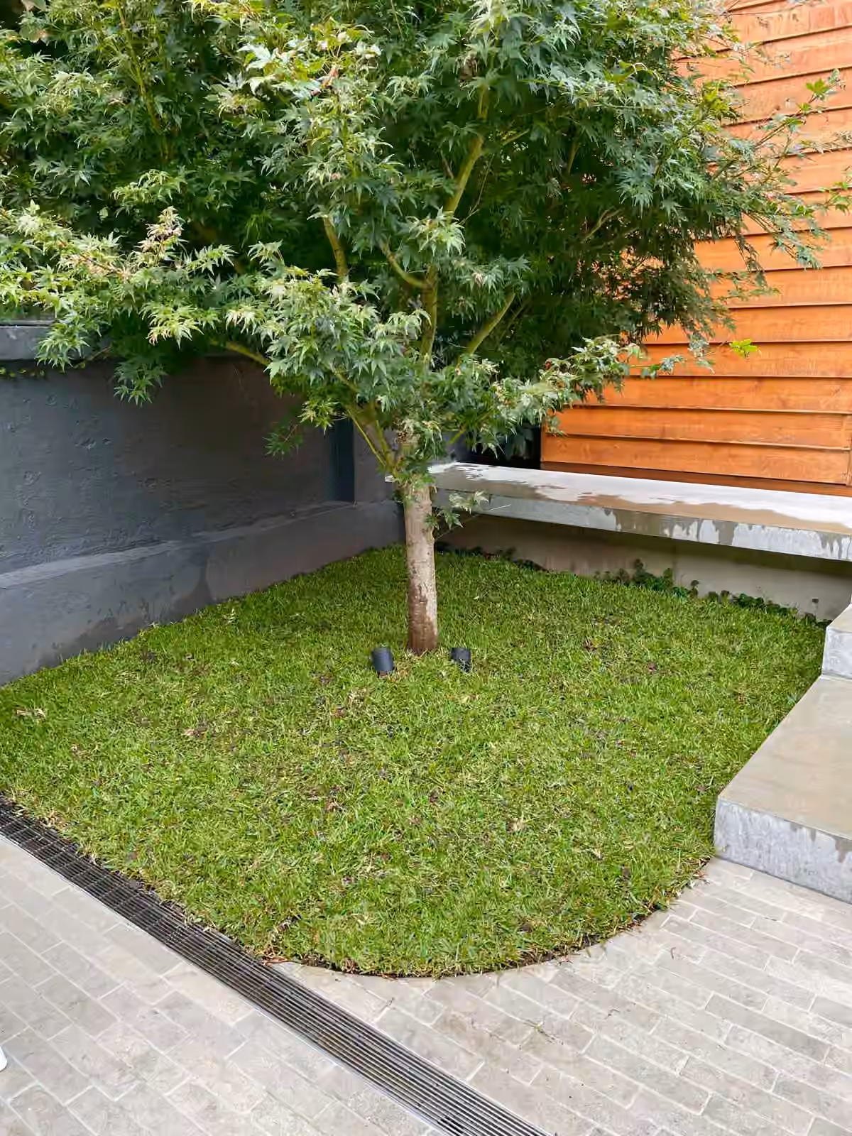 Finished natural turf around a tree beside a garden building